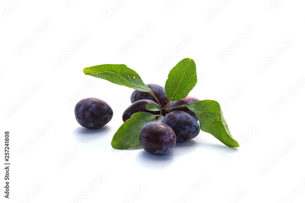 Prunes Prunes