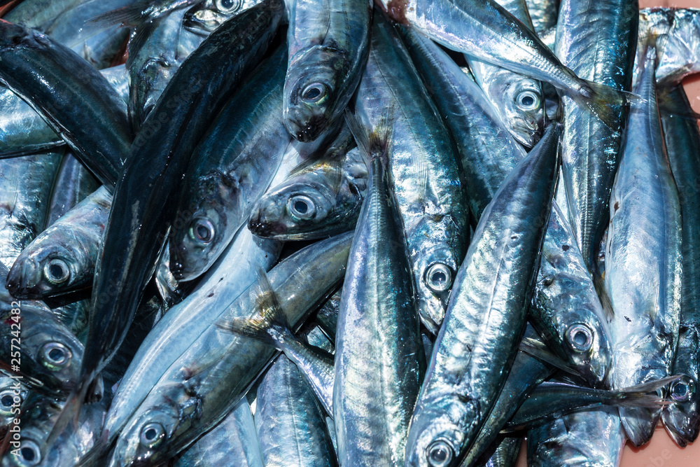 Fototapeta premium Fische, Markt