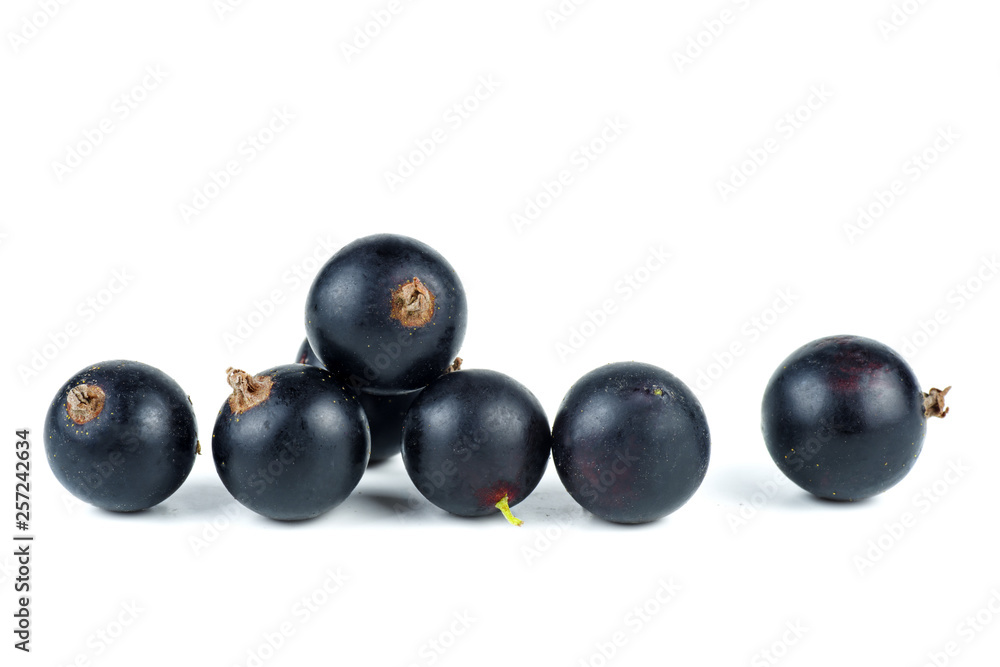 Black currant berries isolated on white background