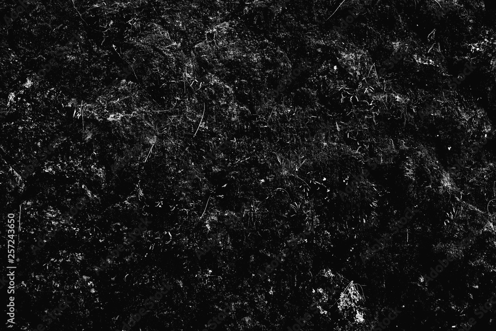 Black and White background texture wall.cement concrete stucco. Black and White background texture wall.cement concrete stucco.
