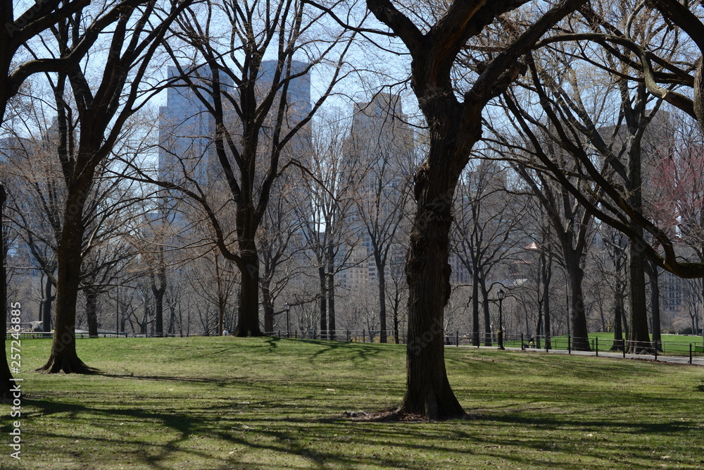 Central park, New York.