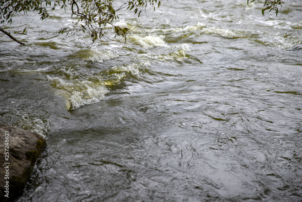 Obraz premium Forest river waterfall view. Wild river rapids. Forest wild river water flow. River stream water view