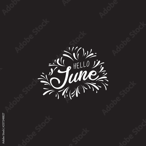  Handwritten phrase for banner  Hand drawn typography lettering phrase Hello june. Hello june  phrase for calendar  flyer  greeting card  calendar. - Vector