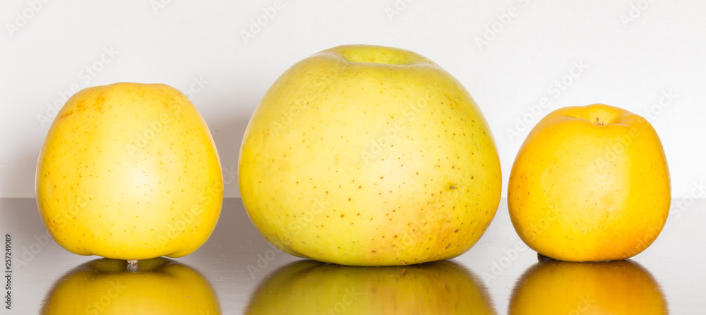 apples on the table apples on the table