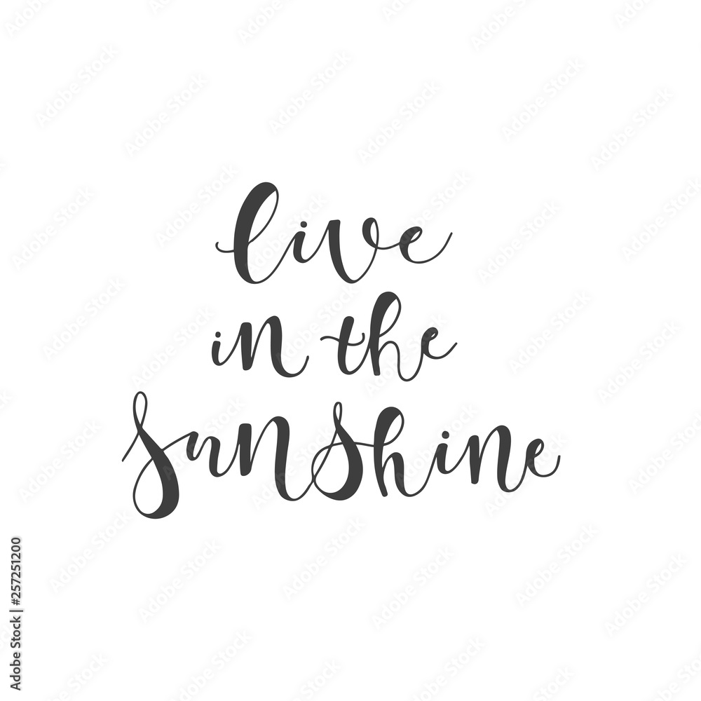 Lettering with phrase Live in the sunshine. Vector illustration.