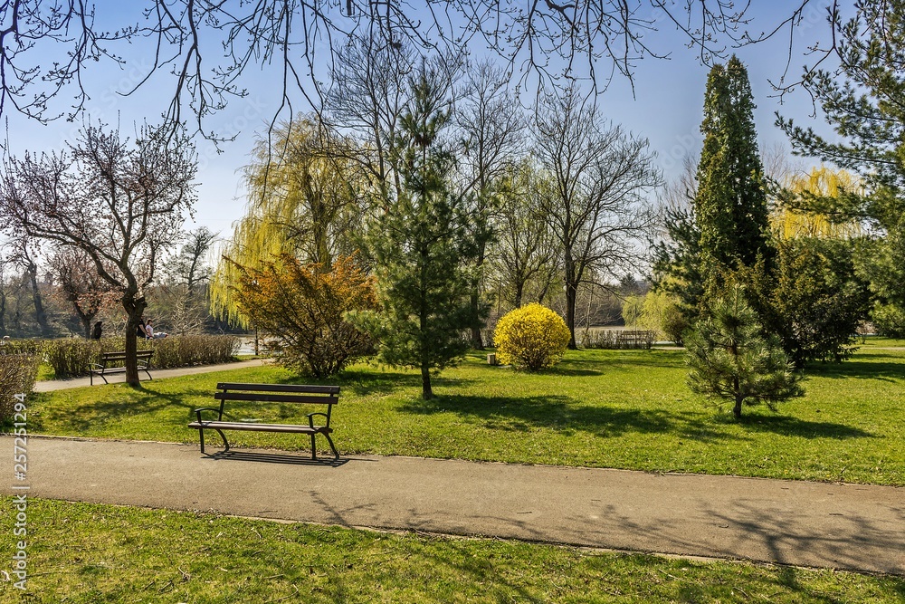 Fototapeta premium Colourful park