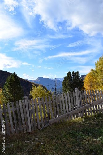 rural landscape with wooden fence