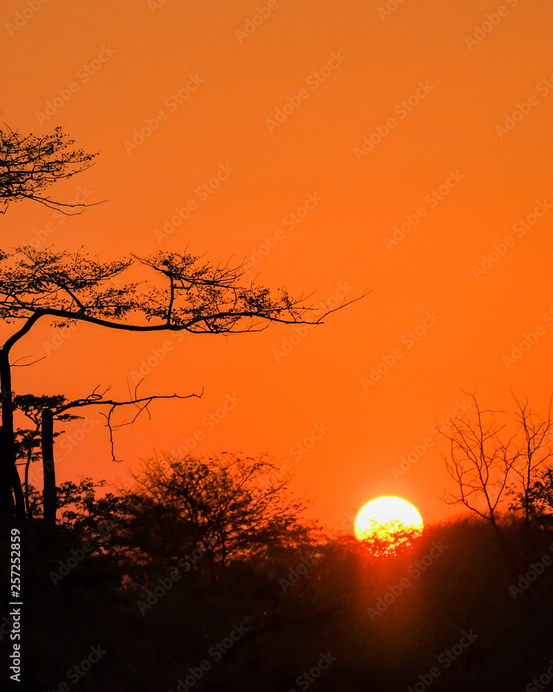 African Sunset Against the Landscape