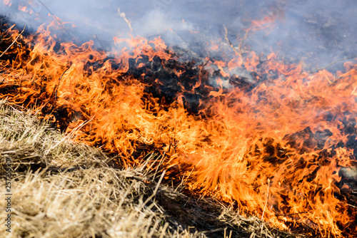 Burning grass field, which is a dangerous global warming. Smoke pollution.