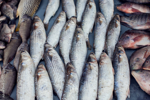 A lot of different kind of fish in market