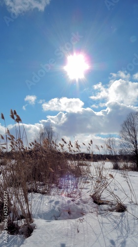 Winter landscapes zymes naparte photo