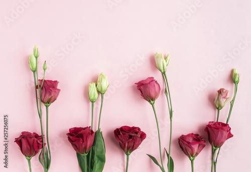 Flowers composition. Spring flowers pink eustoma pattern on pale pink  background.Top view. Copy space