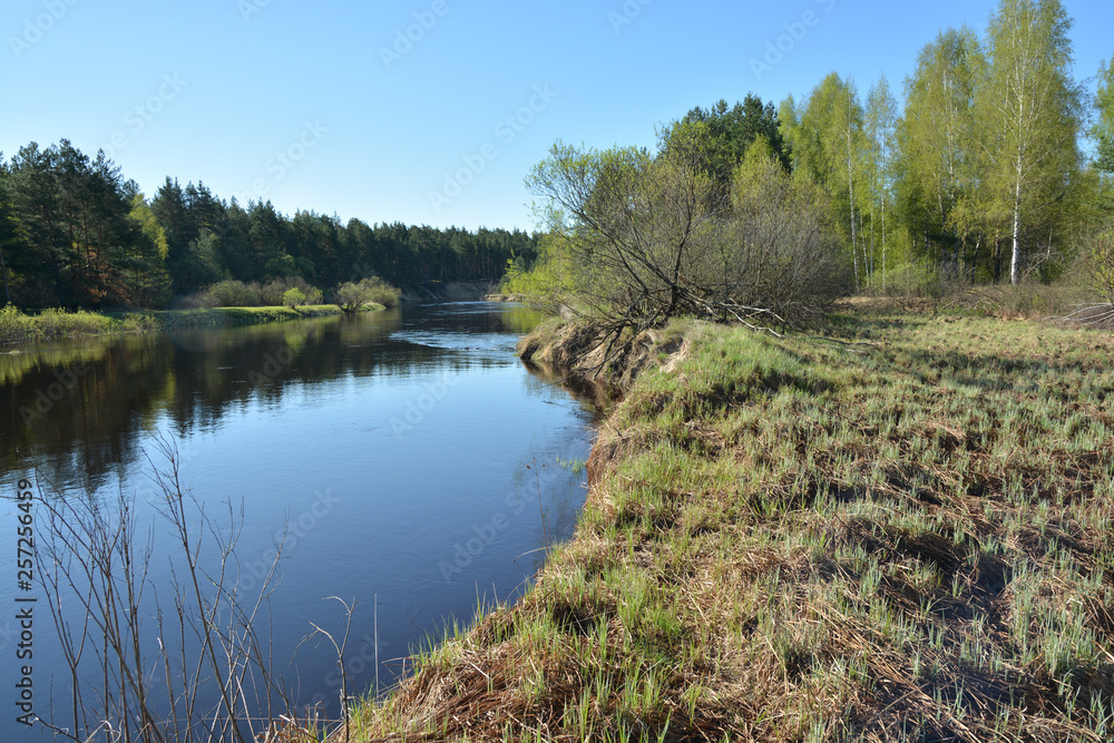 The beginning of may on a protected river. The beginning of may on a protected river.