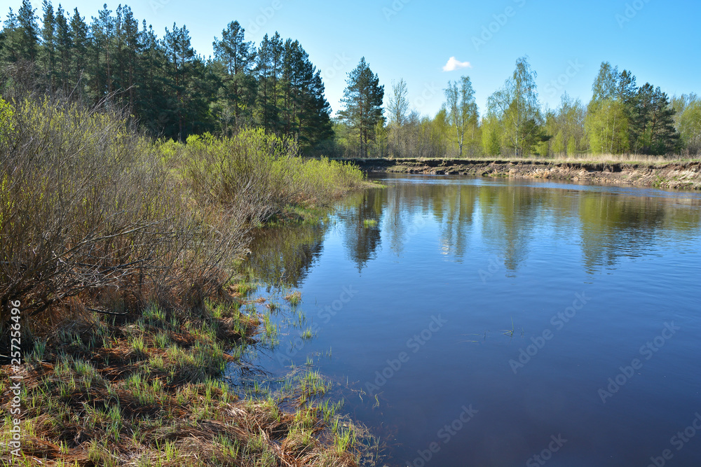 Obraz premium The beginning of may on a protected river.
