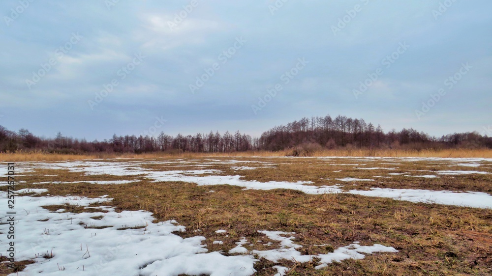 Fields in spring on a Sunny day