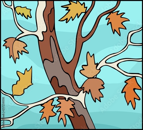 Sycamore tree in the fall, detail
