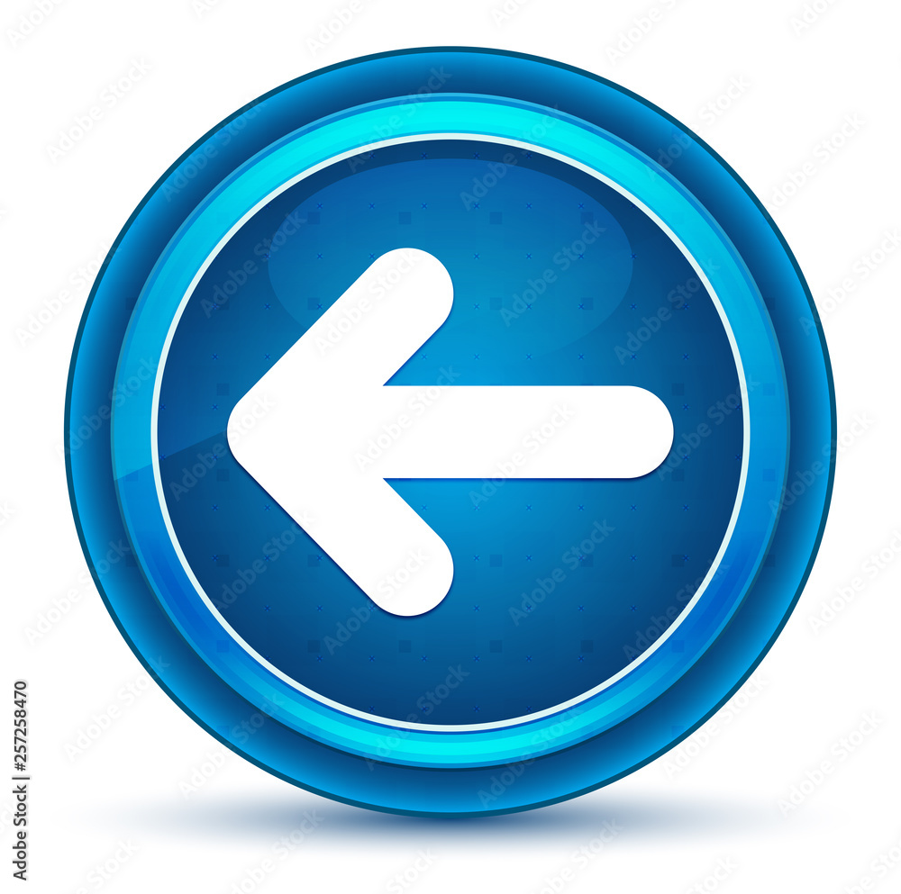 Back arrow icon eyeball blue round button Back arrow icon eyeball blue round button