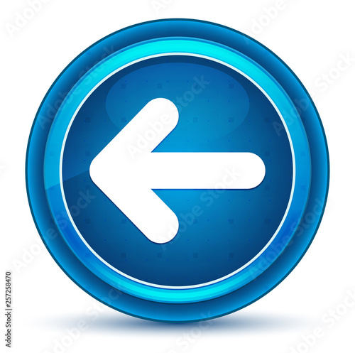 Free Download Back arrow icon eyeball blue round button - GFXLoad