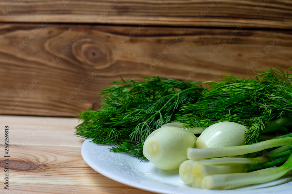 green onions and Dill on white plate on the background of wooden boards green onions and Dill on white plate on the background of wooden boards