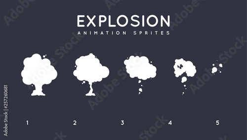 Explosion Storyboard Sprite Set for Animation. Vector Set.