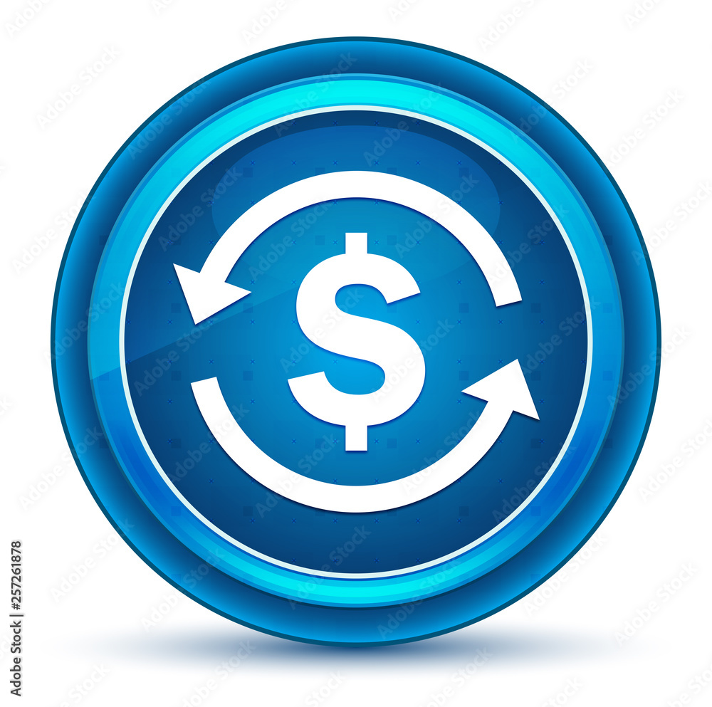 Money exchange dollar sign icon eyeball blue round button Money exchange dollar sign icon eyeball blue round button