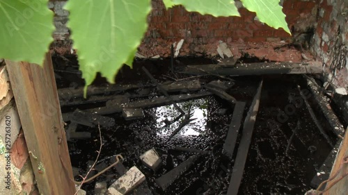 Wallpaper Mural abandoned building with oil chemicals on floor and tree leaves. Eco catastrophe Torontodigital.ca