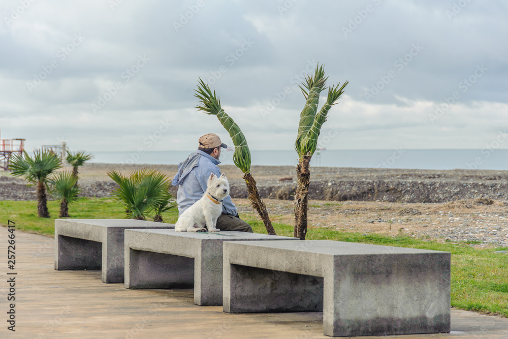 A man with a dog is sitting on a bench and looking at the sea.