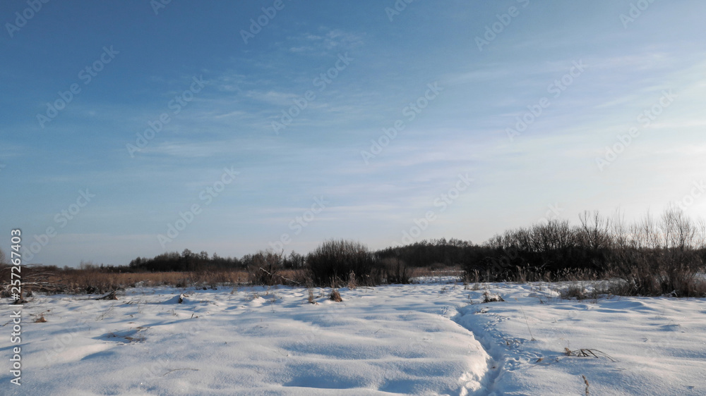 Winter backgrounds in the forest, steppe