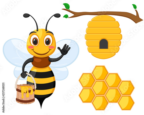 Set of bee with honey bucket, house bee and honeycomb on a white.