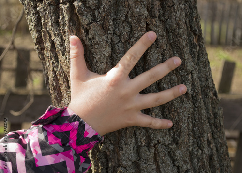 the child's hand touches the oak bark