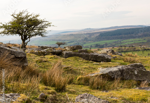 View on Dartmoor