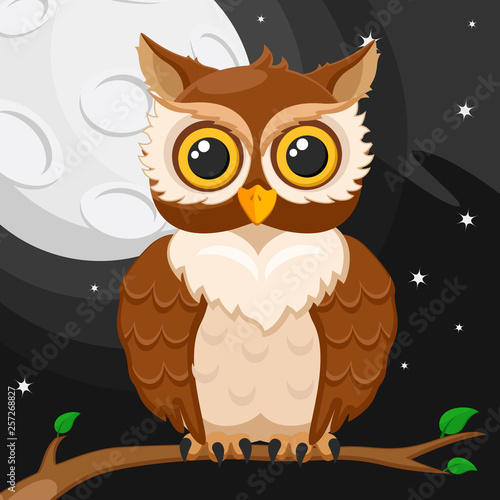 Owl sitting on a branch against the moon and the night sky.