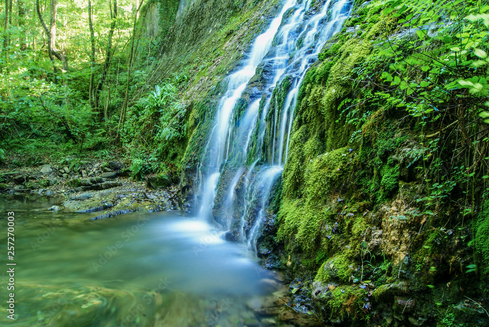 Waterfall in the paradise