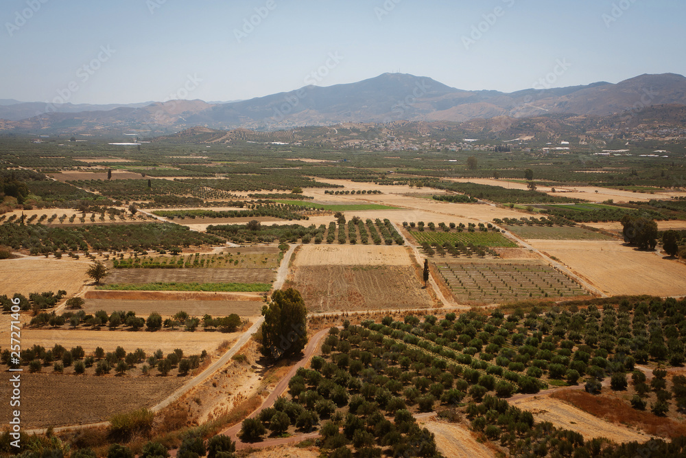 View on the olive groves and other agricultural fields