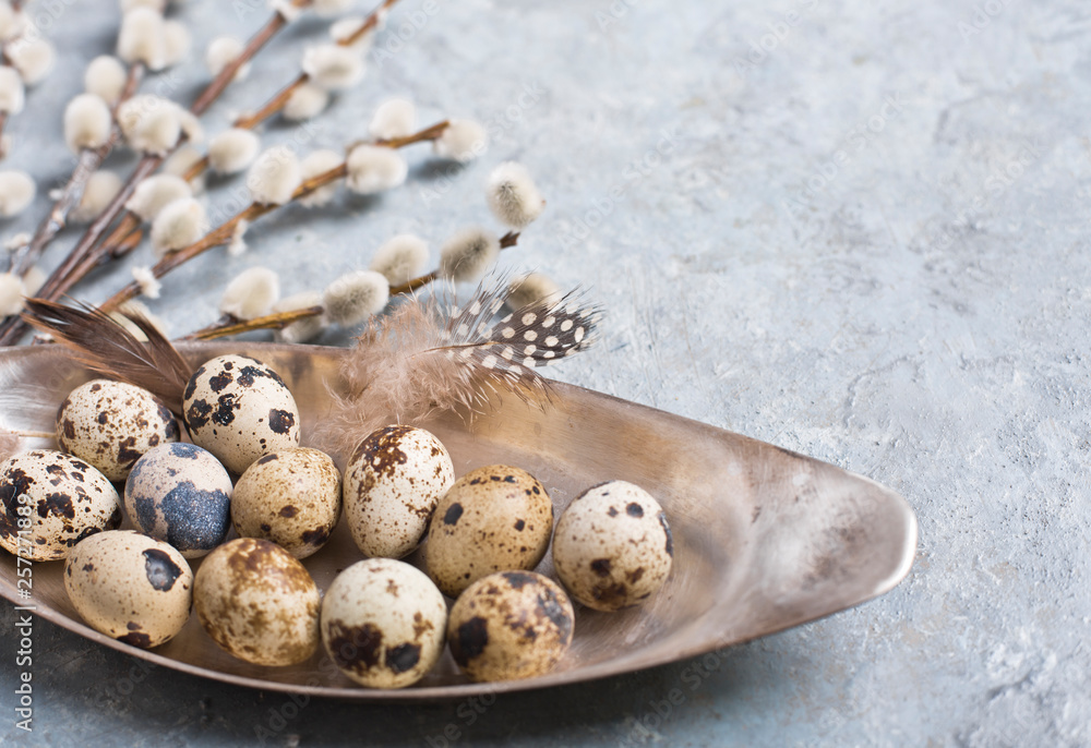 Quail Easter eggs on grey background with willow branch Quail Easter eggs on grey background with willow branch