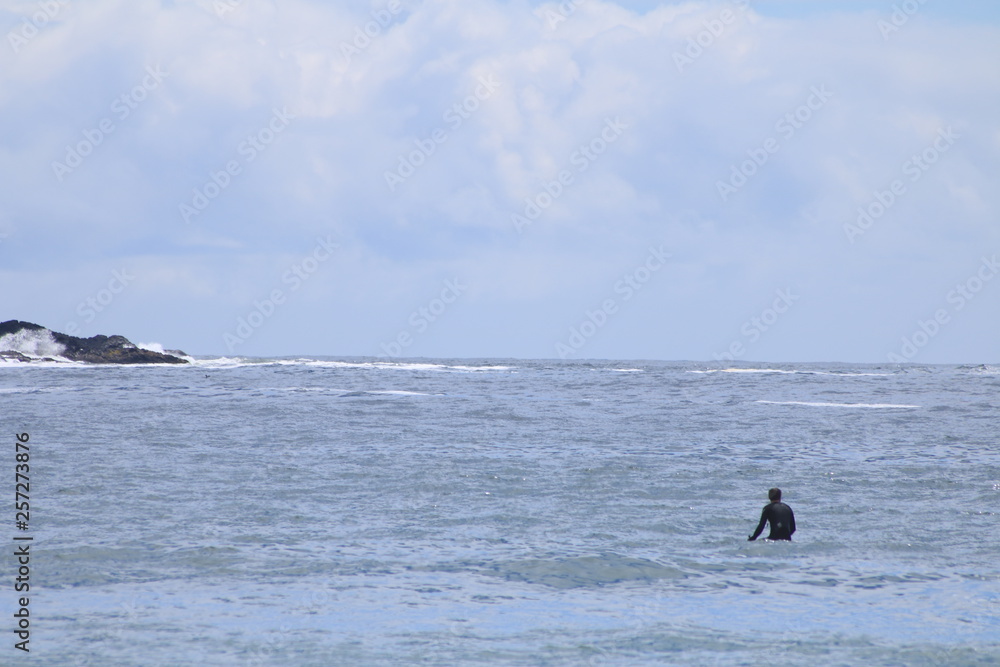 Obraz premium Vancouver Island