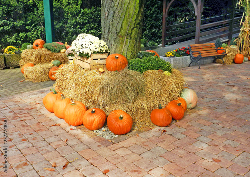 Lovely pumpkin as decoration for halloween in park. © slay19