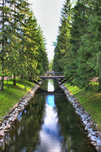 Water channel flanked by trees