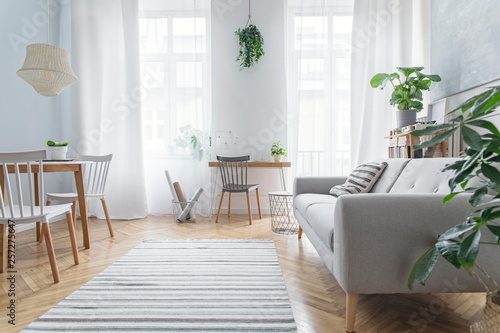 Modern scandinavian living room with design furniture, grey sofa, plants, bamboo bookstand and wooden desk. Brown wooden parquet. Nice apartment. Stylish decor. Bright and sunny side of home space. photo