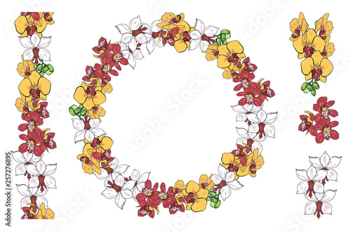 Orchid flowers, seamless brush, wreath and individual flowers, vector illustration