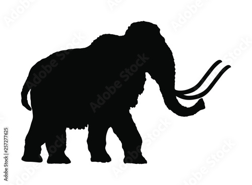 Mammoth vector silhouette illustration isolated on white background.