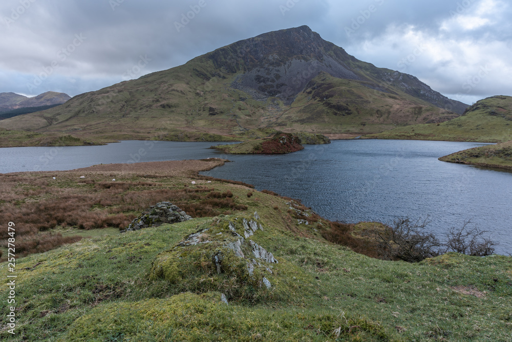 Y Garn, the Nantlle Ridge, and Llyn y Dywarchen, Rhyd Ddu, Gwynedd, Snowdonia, Wales Y Garn, the Nantlle Ridge, and Llyn y Dywarchen, Rhyd Ddu, Gwynedd, Snowdonia, Wales