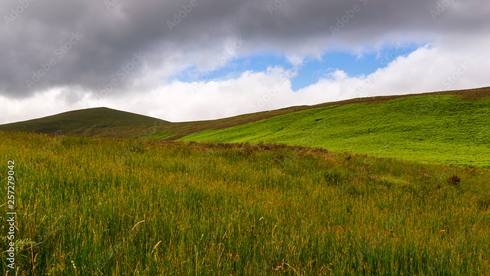Green summer scenery in Wicklow Mountains, Ireland, with scenic rolling hills and tall grass under a moody and beautiful cloudy sky.