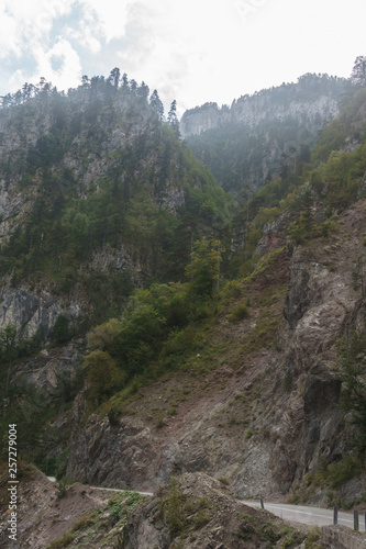 Misty wooded mountains and road