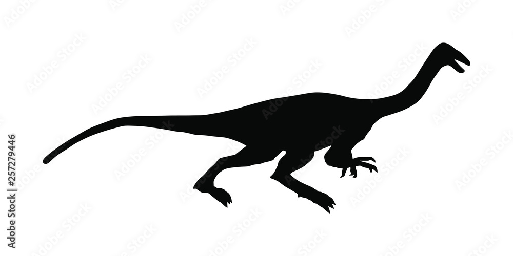 Gallimimus vector silhouette isolated on white background. Anchisaurus Dinosaurs symbol. Jurassic era. Dino sign. Coelophysis shadow.