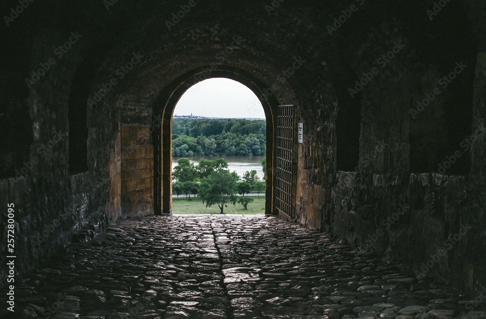 Fototapeta premium gate