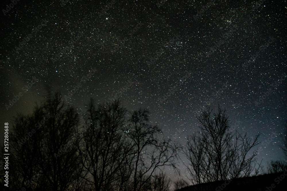 starry sky north