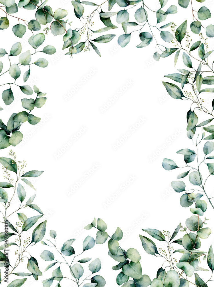 Watercolor different eucalyptus card. Hand painted eucalyptus branch and leaves isolated on