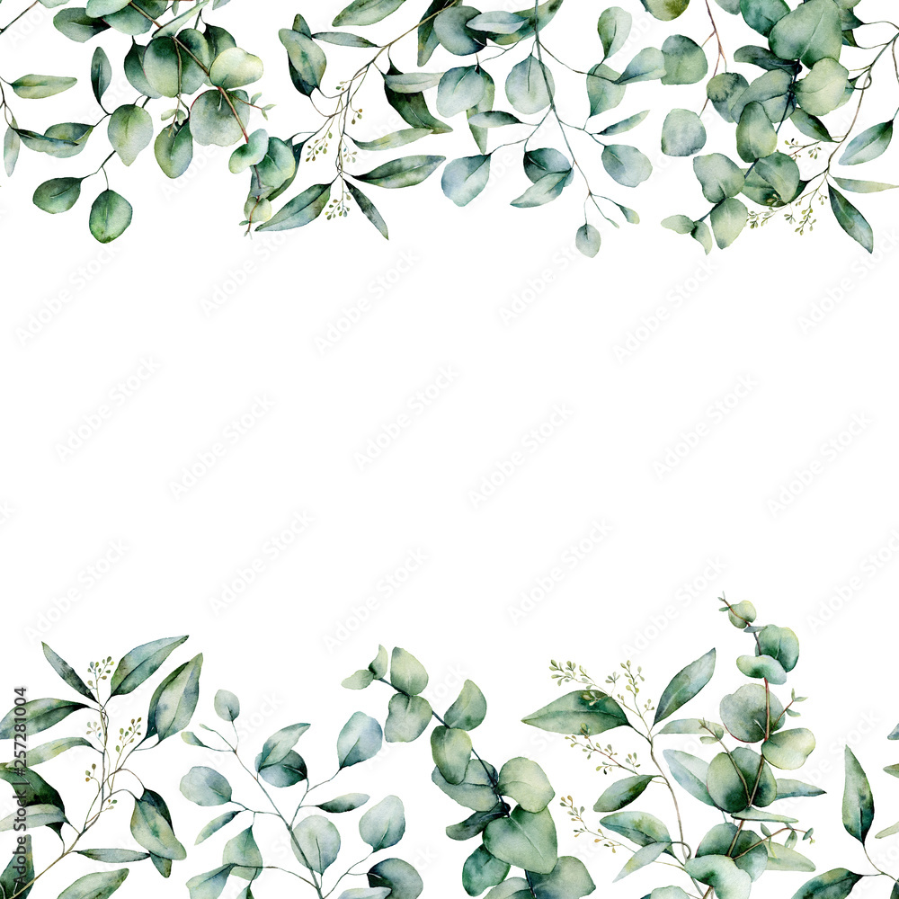 Watercolor different eucalyptus seamless border. Hand painted eucalyptus branch and leaves isolated on white background. Floral illustration for design, print, fabric or background.