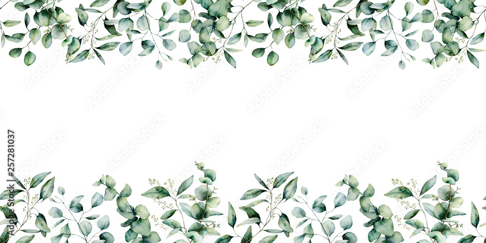 Watercolor eucalyptus seamless border. Hand painted eucalyptus branch